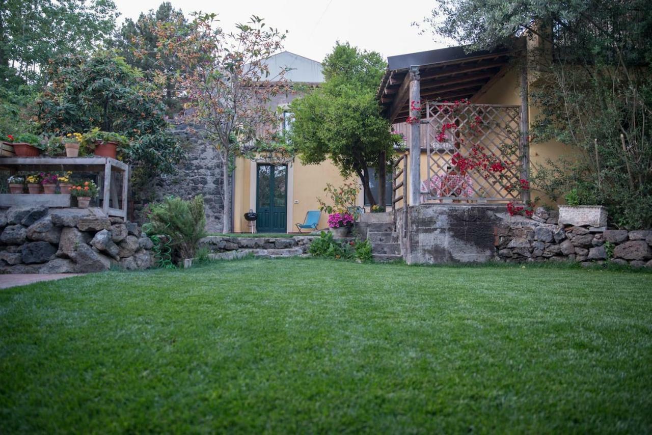 Il Pozzo E L'Ulivo - Just 200 Meters From The Metro - Villa คาตาเนีย ภายนอก รูปภาพ
